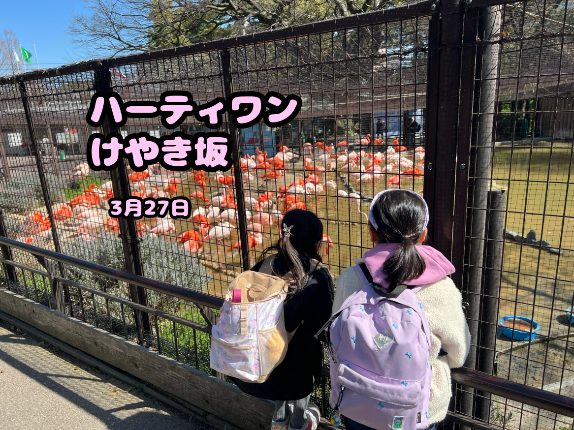 ハーティワンけやき坂 王子動物園🐼