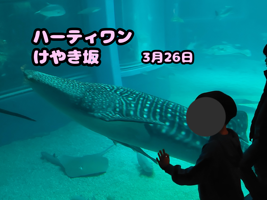 ハーティワンけやき坂 海遊館🦈