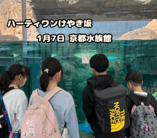 ハーティワンけやき坂 京都水族館🐟