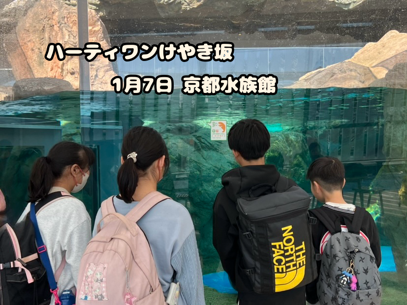 ハーティワンけやき坂 京都水族館🐟